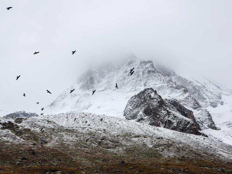 sudoku progress save screenshot 6